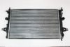 AUTOMEGA 3013000266 Radiator, engine cooling